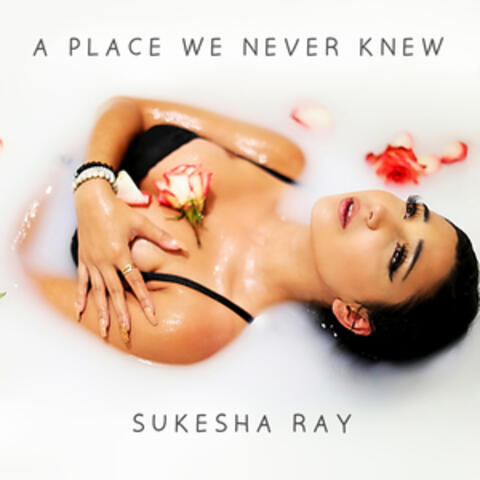 A Place We Never Knew