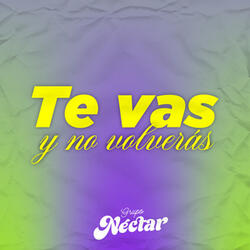 Te Vas y No Volverás