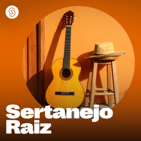Sertanejo Raiz - As Mais Tocadas 2025