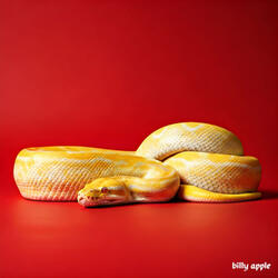 billy apple
