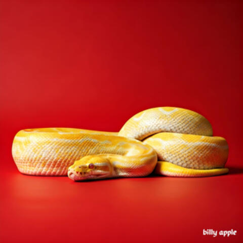 billy apple