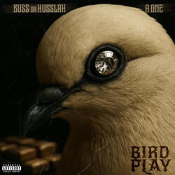 Bird Play