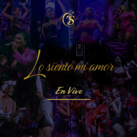 Lo siento mi amor