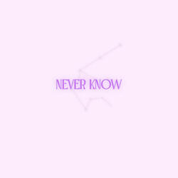 Never Know