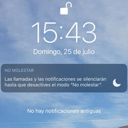 no molestar