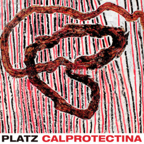 Calprotectina