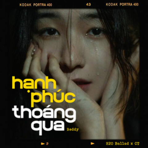 Hạnh Phúc Thoáng Qua