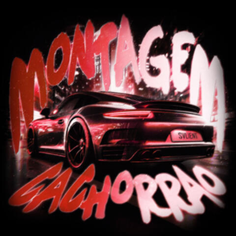 MONTAGEM CACHORRAO