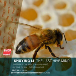 Miss Ying-Ning: VII. The Overdue Funeral for the Fox Mother