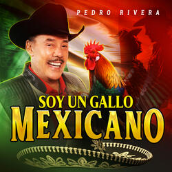 Soy Un Gallo Mexicano