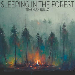 Sleeping In The Forest