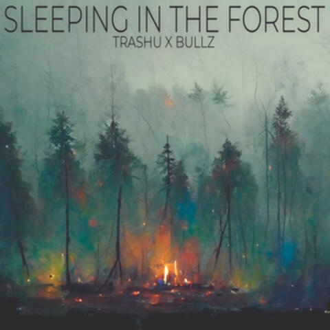 Sleeping In The Forest