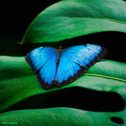 In The Moment Imago