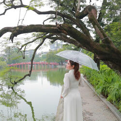 Vĩnh Biệt Tình Tôi