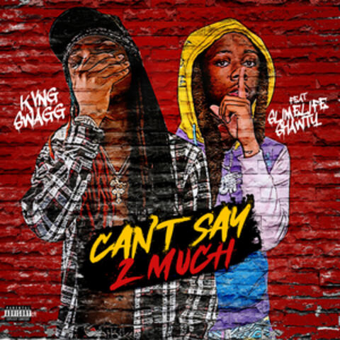 Can't Say 2 Much