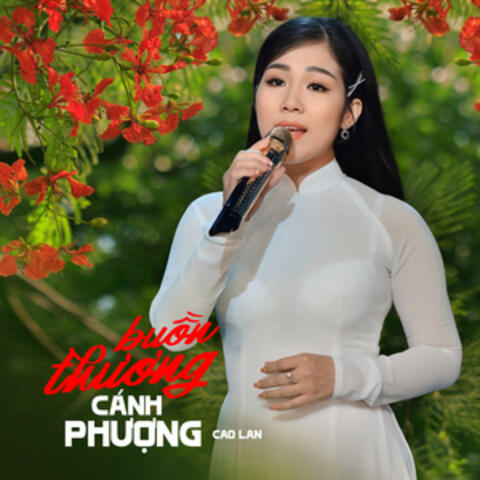Buồn Thương Cánh Phượng