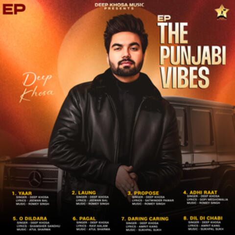 The Punjabi Vibes