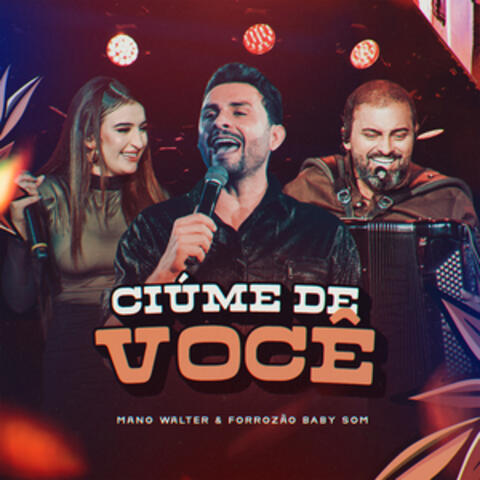 Ciúmes de Você