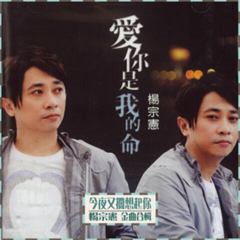 今夜又擱想起你