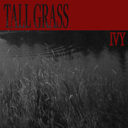 Tall Grass