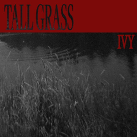 Tall Grass