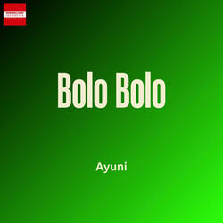 Bolo Bolo