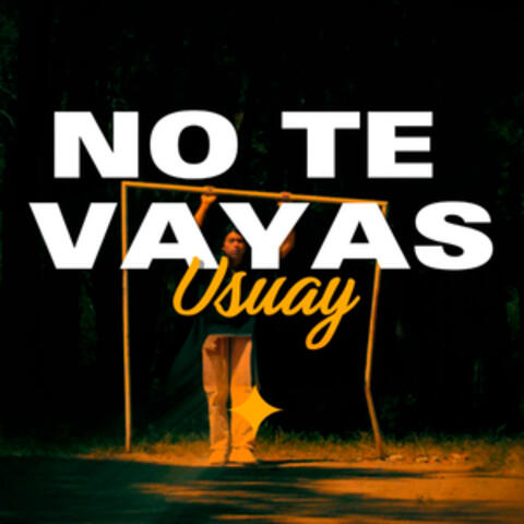 No Te Vayas