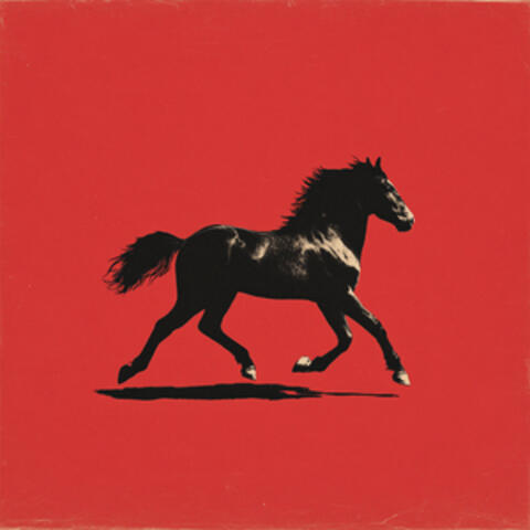 Probé el Caballo