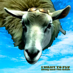 I WANT TO FLY