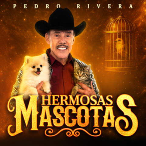 Hermosas Mascotas
