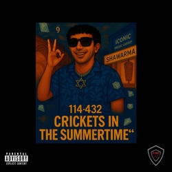 Crickets in the Summertime