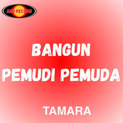 Bangun Pemudi Pemuda