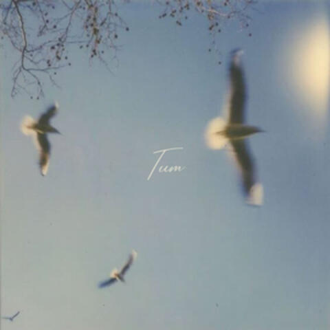 Tum