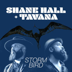 Storm Bird
