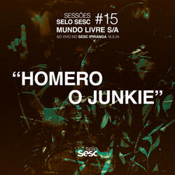 Homero o Junkie