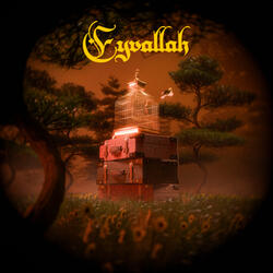 Eyvallah
