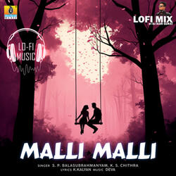 Malli Malli Lofi Mix (DJ Hari Surat)