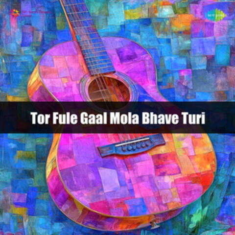 Tor Fule Gaal Mola Bhave Turi
