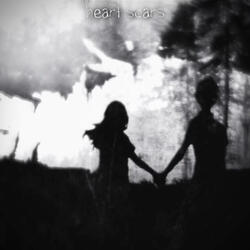 heart scars