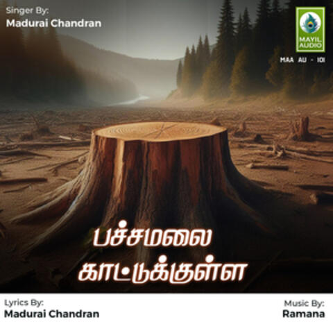 Pachchamala Kaattukkula - Single