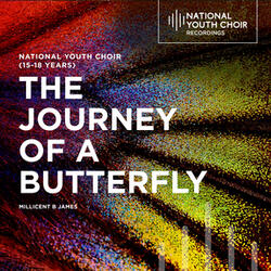 The Journey Of A Butterfly
