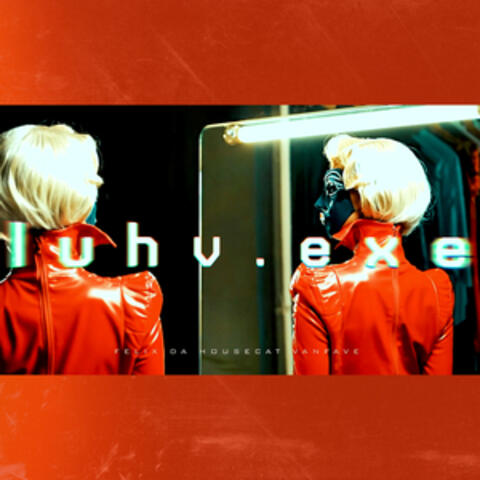 luhv.exe