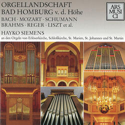 12 Stücke, Op. 65: X. Scherzo in D Minor