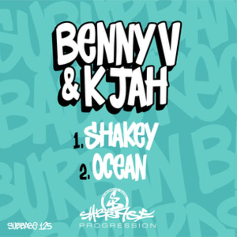 Shakey/ Ocean