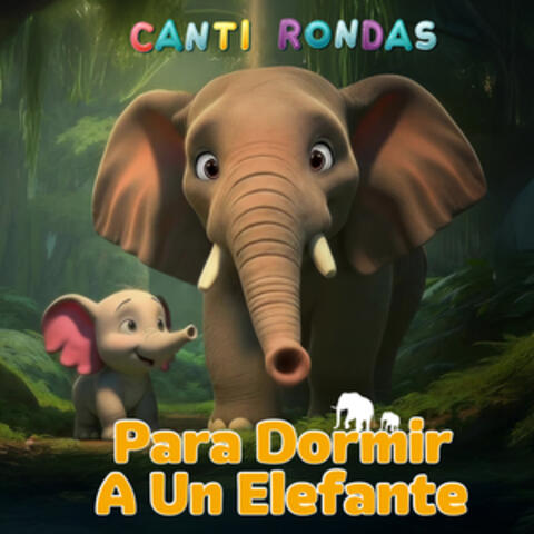 Para Dormir A Un Elefante