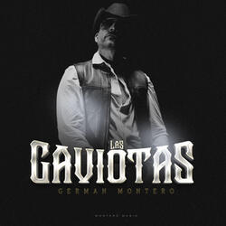 Las Gaviotas