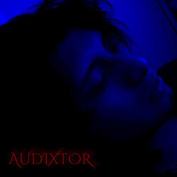 AudiXtor