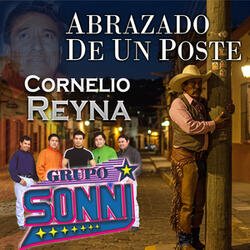 Abrazado De Un Poste