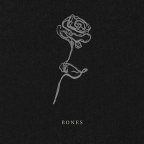 BONES