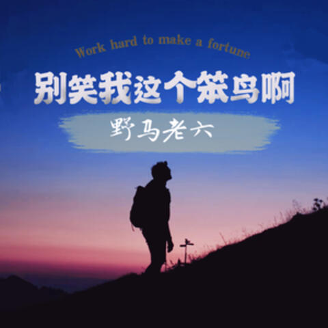 别笑我这个笨鸟啊